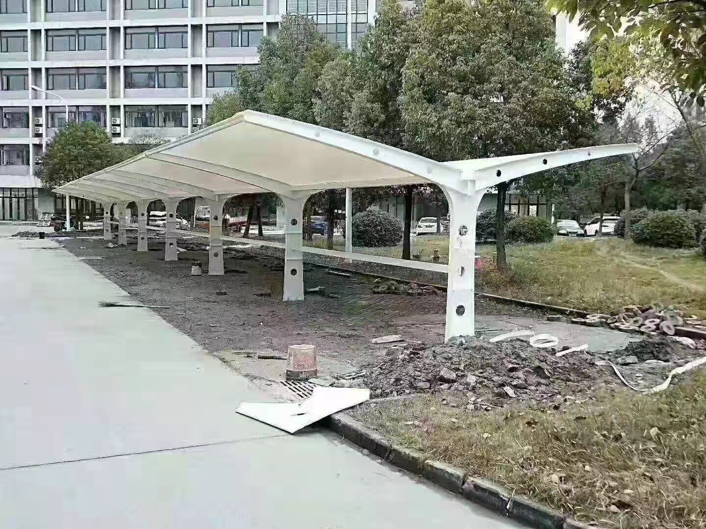 膜结构的主要特点